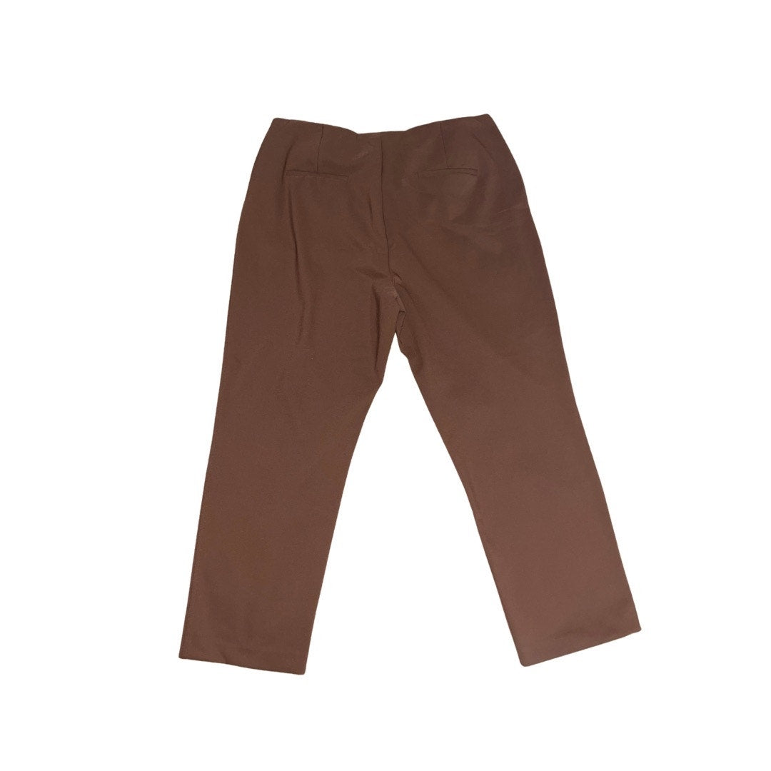 Rachel Zoe Women Pull on Pants Brown Casual Contemporary Plus Size 16