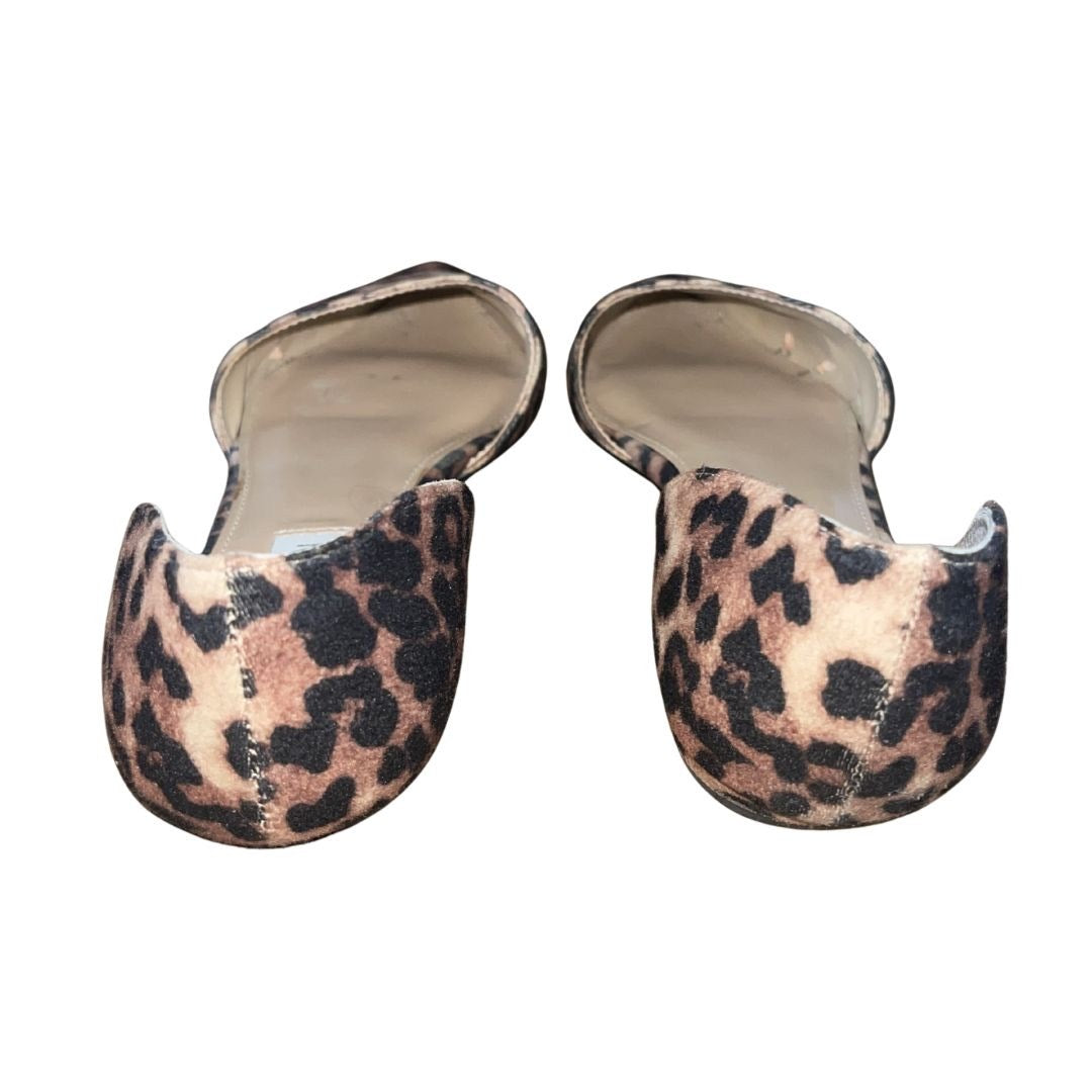 Steve Madden Cheetah Pointed Flats Slip on Size 8.5 Classy Chic Career Office