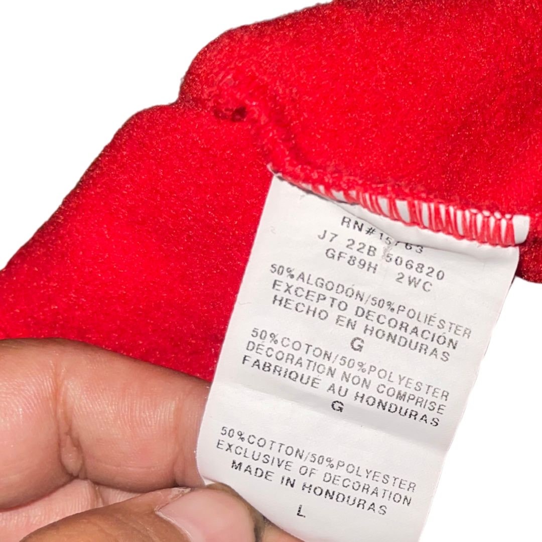 Champion Hoodie Mens Hooded Sweatshirt Size Large Athletic Sports Loungewear