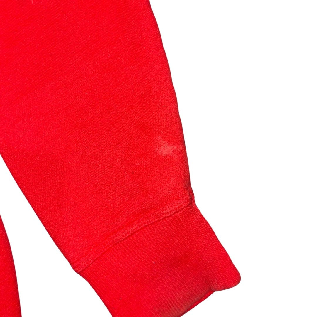 Champion Hoodie Mens Hooded Sweatshirt Size Large Athletic Sports Loungewear