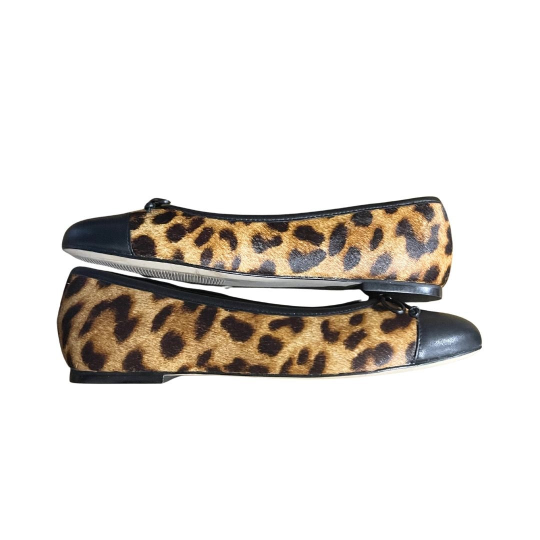 Talbots Blair Leopard Cap Toe Ballet Flats Shoes 100% Calf Hair 8.5 NWB