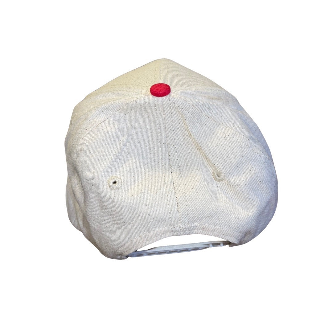 Coca-Cola Coke by PacSun Baseball Cap Snap fit One Size Canvas Adjustable NWT