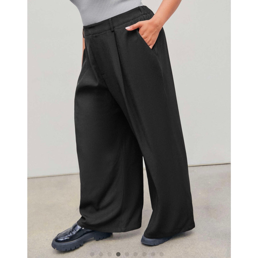 NWT CIDER MID WAIST PLEATED POCKET WIDE LEG PANTS CURVE & PLUS