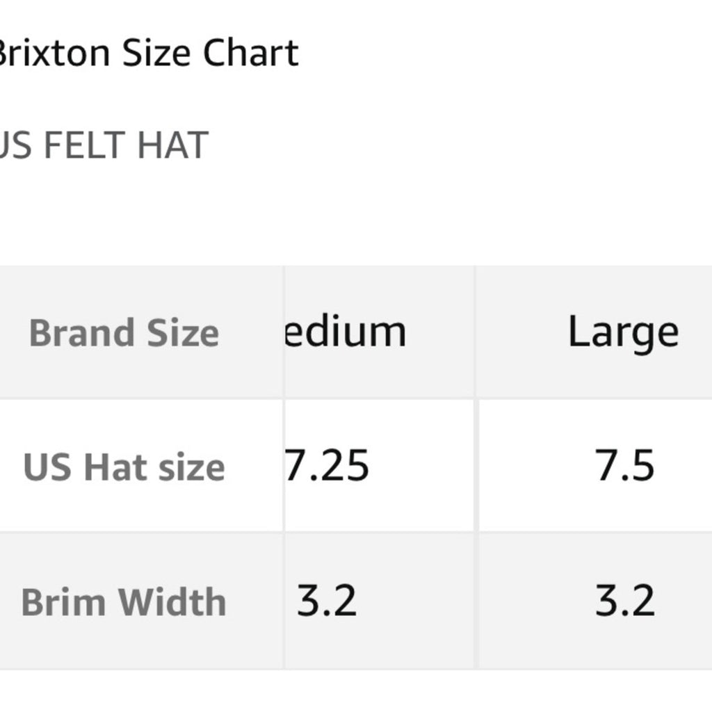 Brixton Tiller Hat wide brim felted Wool Unisex Fedora Adjustable size Large