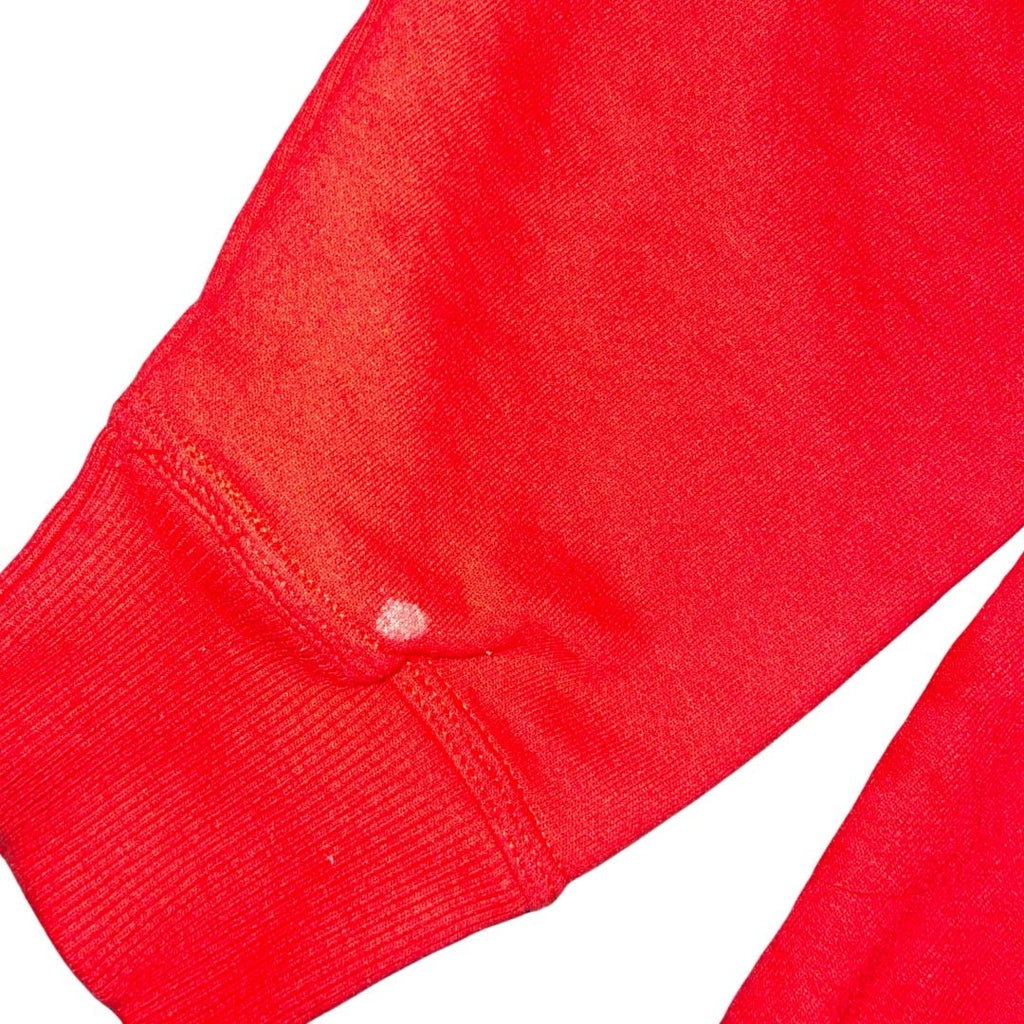 Champion Hoodie Mens Hooded Sweatshirt Size Large Athletic Sports Loungewear