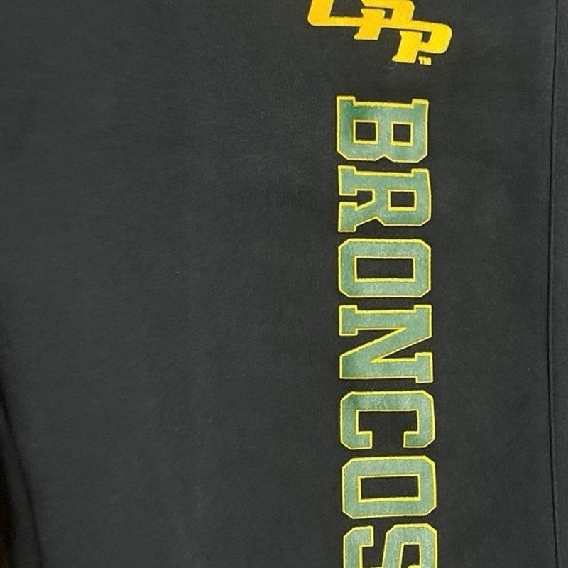 Nike CPP Broncos Fleece Sweatpants SZ XXL Cal Poly Pomona Collegiate NWT Sports