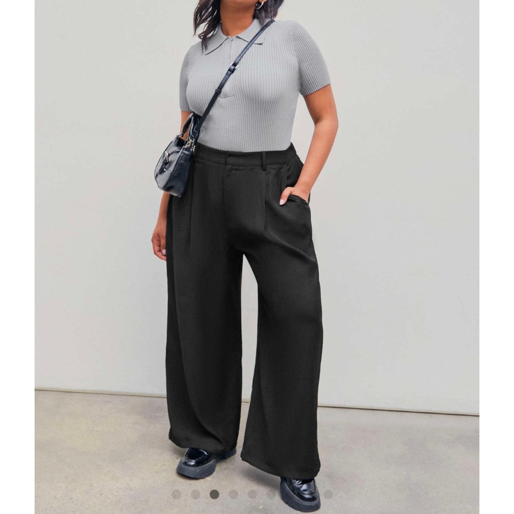 NWT CIDER MID WAIST PLEATED POCKET WIDE LEG PANTS CURVE & PLUS
